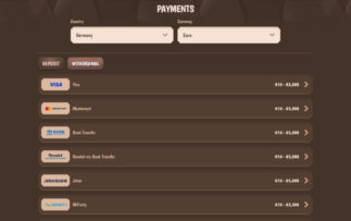 StoneVegas Auszahlungsmethoden