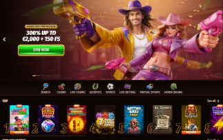 Westace Casino-Bewertung