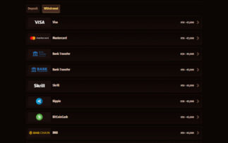 Westace Auszahlungsmethoden