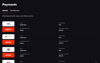 RoosterBet casino deposit methods