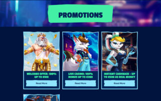 Arctic Casino Promotions