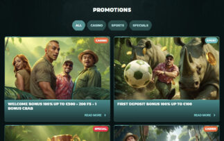 Playio Casino Promotions