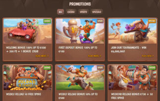 StoneVegas Casino Bonuses