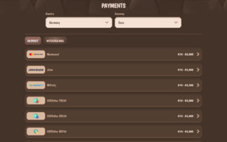 StoneVegas Deposit Methods