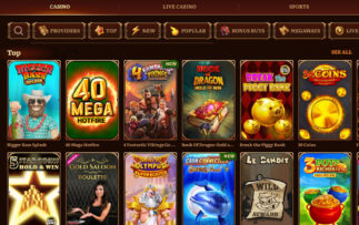 WildRobin Casino Games