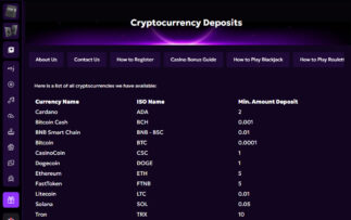 WeezyBet Crypto Payments