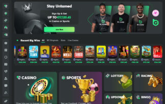 BC.Game Casino Review