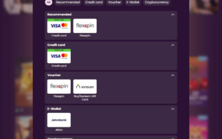 Bizzo Casino Payment Methods