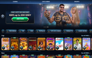 Millioner Casino Review