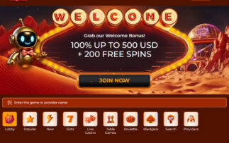 VegaZone Casino Information