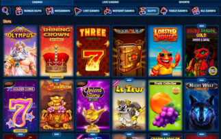 DudeSpin Casino Games