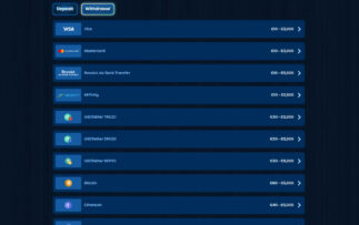 DudeSpin Withdraw Methods